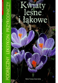 Kwiaty leśne i łąkowe