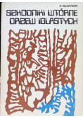 Szkodniki wtórne drzew iglastych