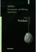 Mózg fascynacje problemy tajemnice