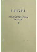 Fenomenologia ducha Tom  II