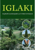Iglaki najpopularniejsze gatunki w Polsce