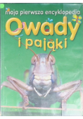 Moja pierwsza encyklopedia Owady i Pająki