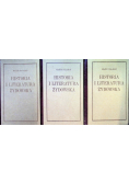 Historia i literatura żydowska Tom 1 do 3