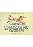O tym jak się rzep do psiego ogona przyczepił