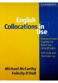 English Collocations in Use