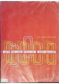 Atlas uzwojeń silników indukcyjnych