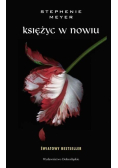 Księżyc w nowiu
