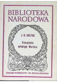 Cierpienia młodego Wertera