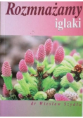 Rozmnażamy iglaki