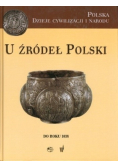 U źródeł Polski do roku 1038