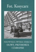 Fot. Kosycarz niezwykłe zwykłe zdjęcia Oliwy, Przymorza i Żabianki