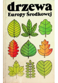 Drzewa Europy Środkowej