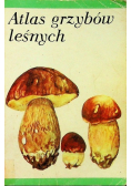 Atlas grzybów leśnych