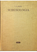Wirusologia