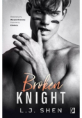 All saints high Tom 2 Broken knight