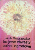 Krajowe chwasty polne i grodowe