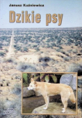 Dzikie psy