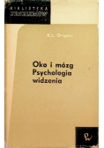 Oko i mózg. Psychologia widzenia