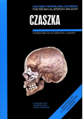 Anatomia prawidłowa człowieka. Czaszka