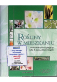 Rośliny w mieszkaniu