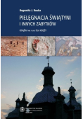 Pielęgnacja świątyni i innych zabytków