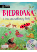 Biedronka i inni mieszkańcy łąki