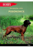 Posokowce