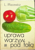 Uprawa warzyw pod folią