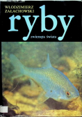 Ryby zwierzęta świata