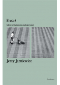 Frotaż. Szkice o literaturze anglojęzycznej