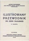 Ilustrowany przewodnik po ziemi olkuskiej z mapką