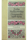 Nałkowska dzienniki 1918 - 1929