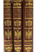 Polska jej dzieje i kultura od czasów najdawniejszych aż do chwili obecnej 1927 - 1930 Tom 1 do 3