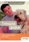 Tresura psów I kto tu kogo prowadzi na smyczy?