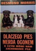 Dlaczego pies merda ogonem