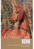 Encyklopedia koni