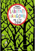 Labirynty i łamigłówki nie z tej ziemi