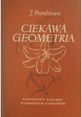 Ciekawa Geometria