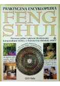 Feng shui