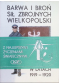 Barwa i broń sił zbrojnych Wielkopolski w latach 1919 - 1920