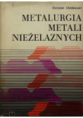 Metalurgia metali nieżelaznych