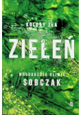 Kolory zła Tom 6 Zieleń