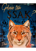 Gdzie ten ssak