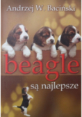 Beagle są najlepsze