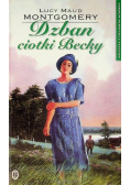 Kolekcja z Zielonego Wzgórza Tom 
 20 Dzban ciotki Becky