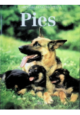 Pies