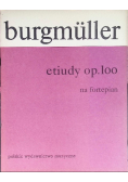 Etiudy op 100 na fortepian