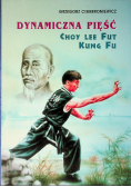Dynamiczna pięść Choy Lee Fut kung fu