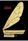 Intensywna gospodarka w pasiece