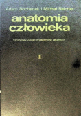 Anatomia człowieka. Tom I
